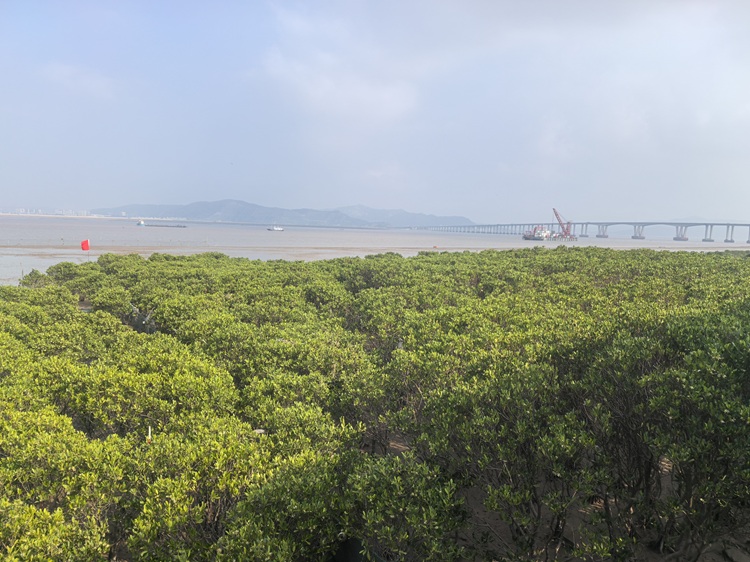 1787107095296704.jpg 微信图片_20260818093027_98_189.jpg