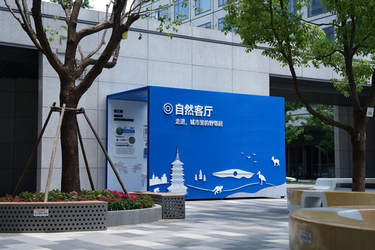 1789609205739372.jpg 浙谷深蓝中心(自然客厅1).JPG
