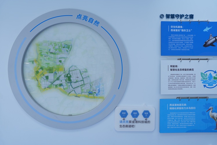 1789609214112497.jpg 浙谷深蓝中心(自然客厅3).JPG