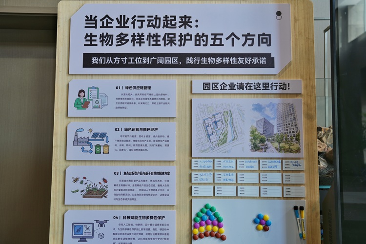 1789609238798239.jpg 浙谷深蓝中心室内互动.jpg
