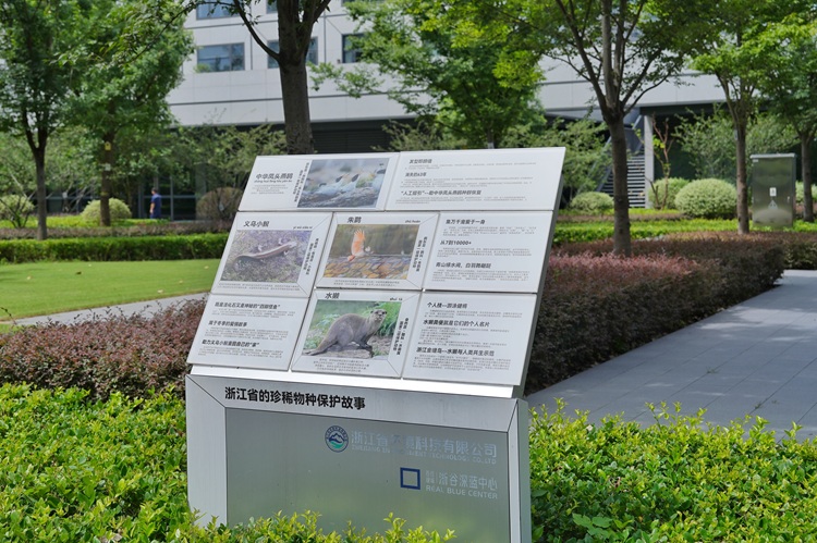 1789609251494951.jpg 浙谷深蓝中心室外宣传牌2.jpg